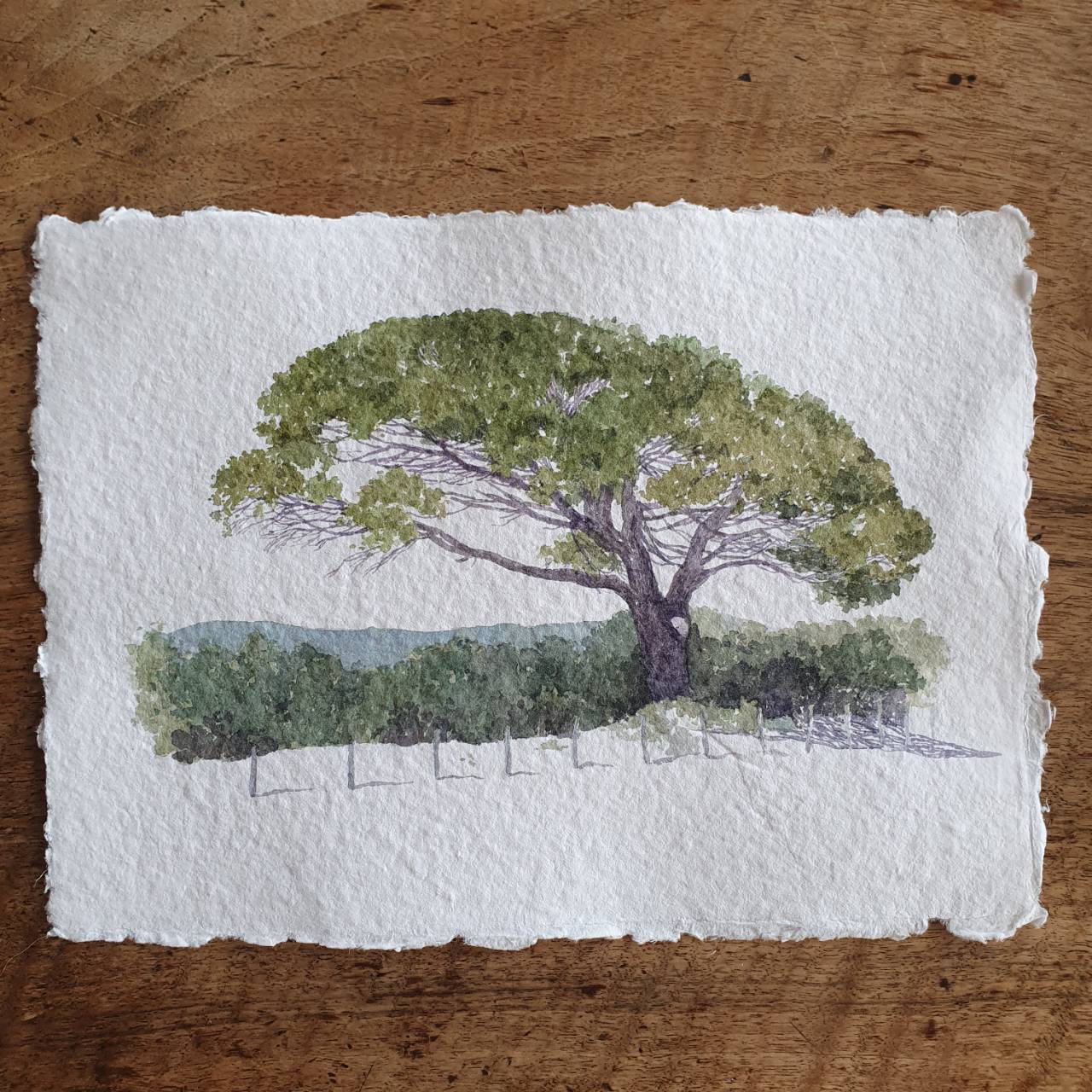 A Stroll Along the Beach No.02