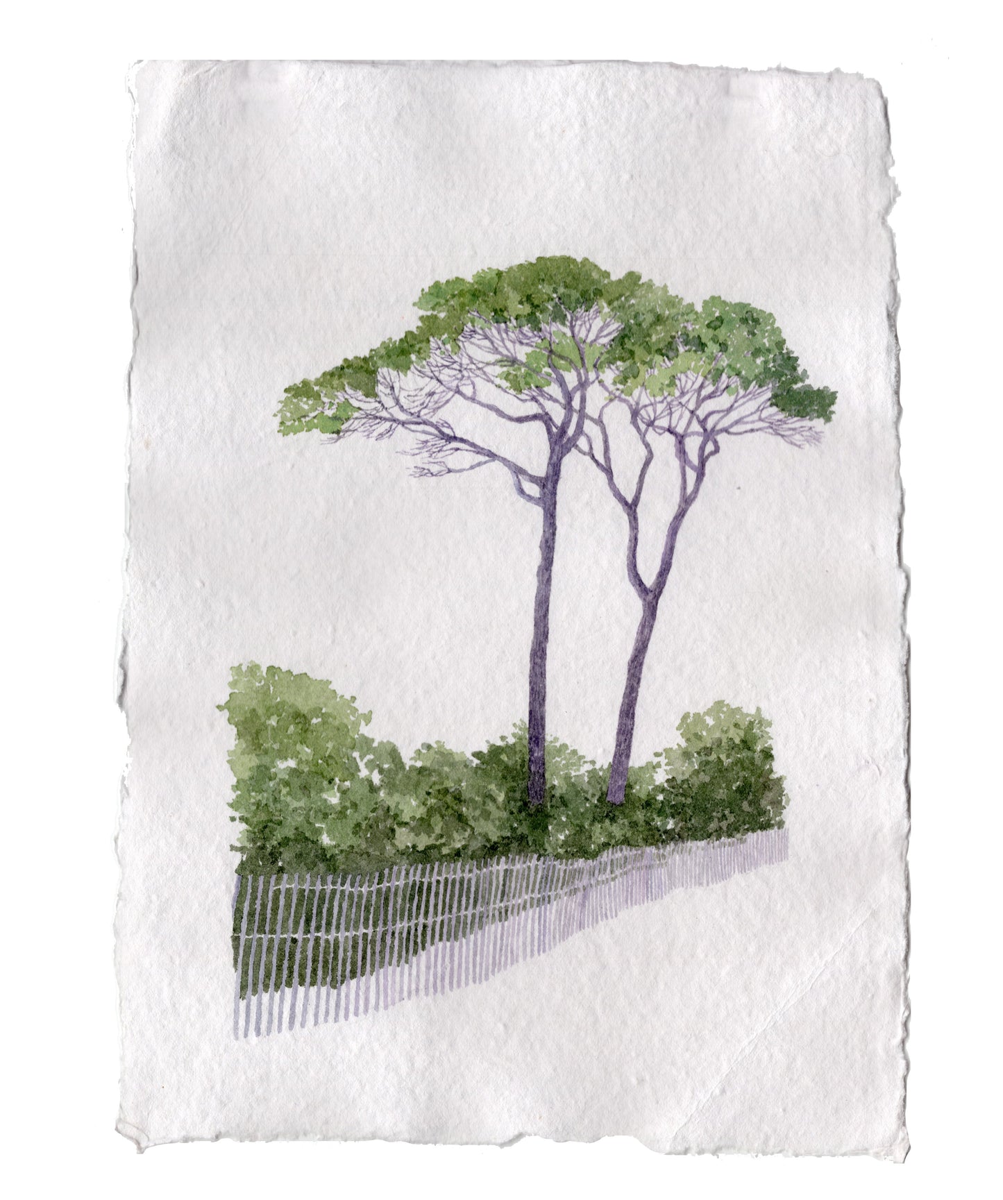 A Stroll Along the Beach No.01