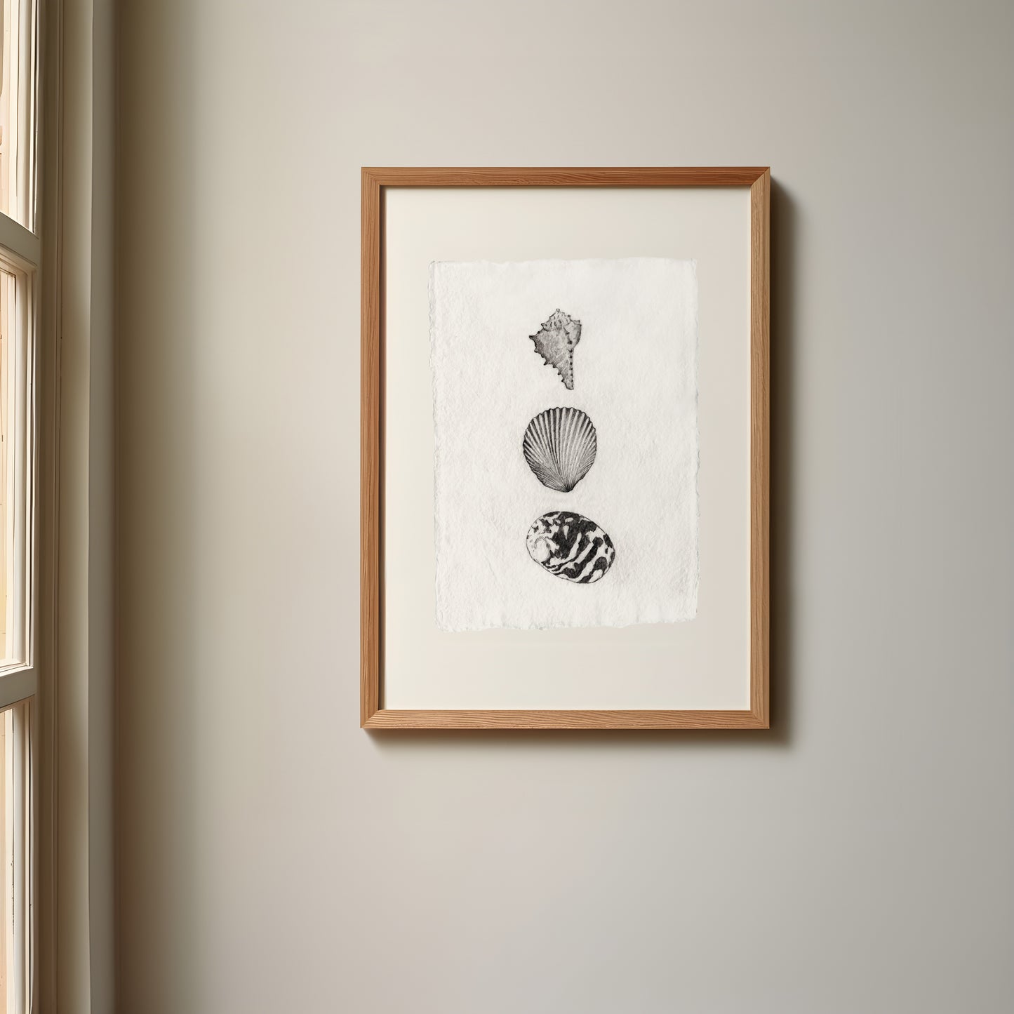 Les Coquillages No.01