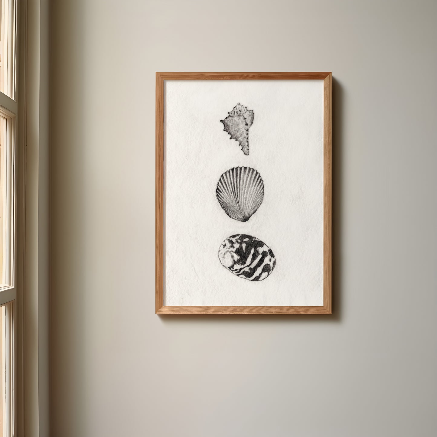 Les Coquillages No.01