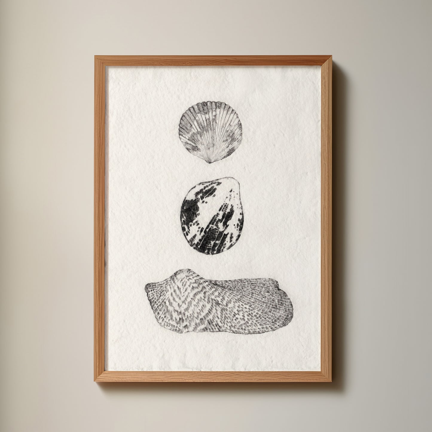 Les Coquillages No.06