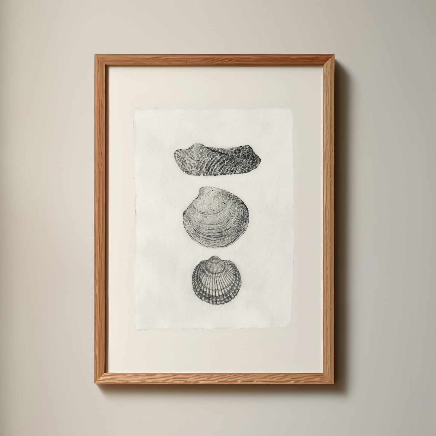 Les Coquillages No.04