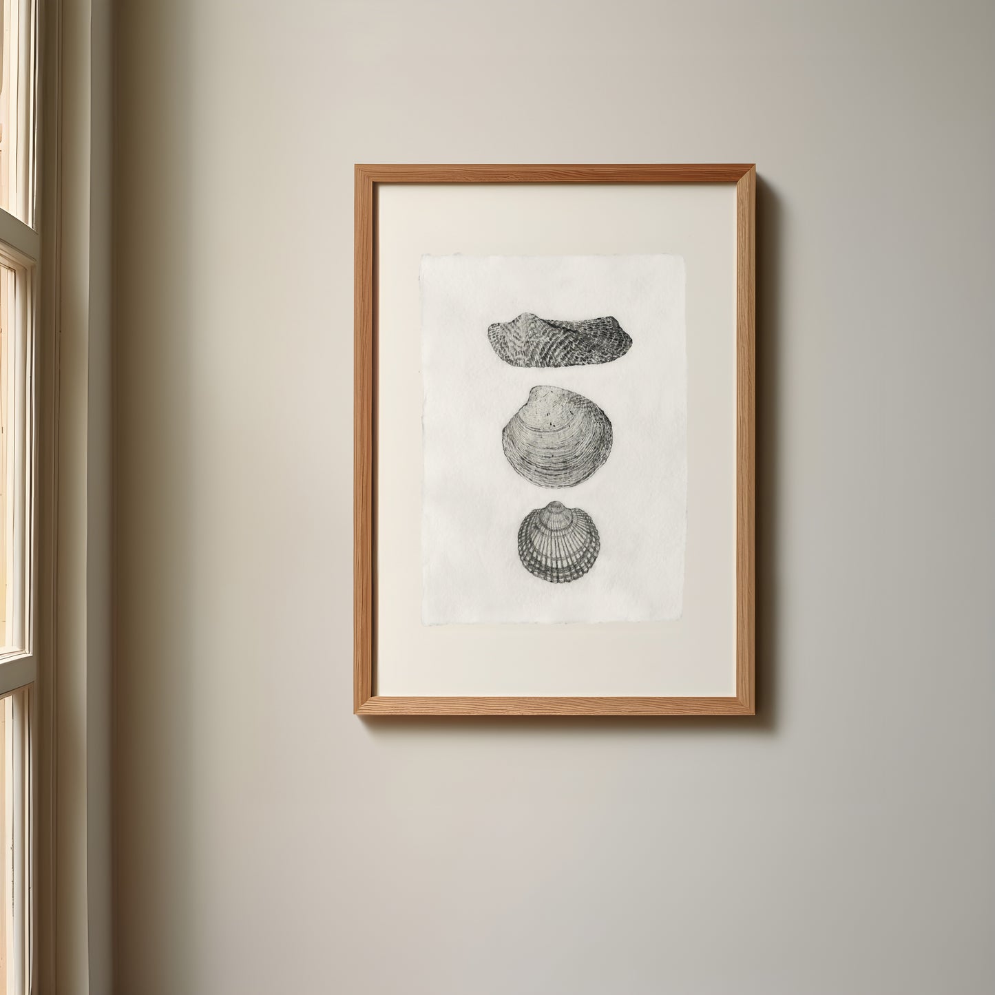 Les Coquillages No.04