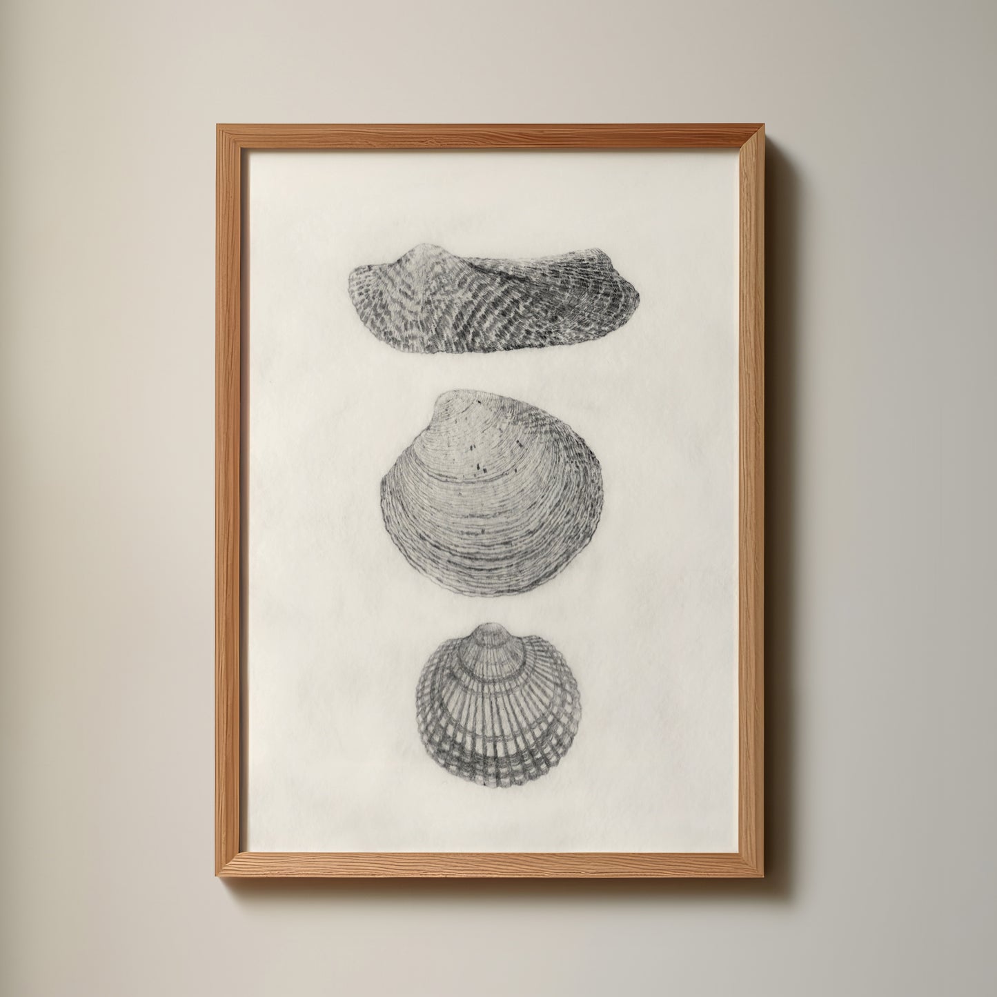 Les Coquillages No.04