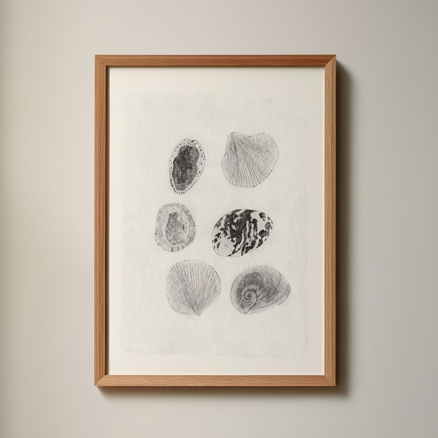 Les Coquillages No.05