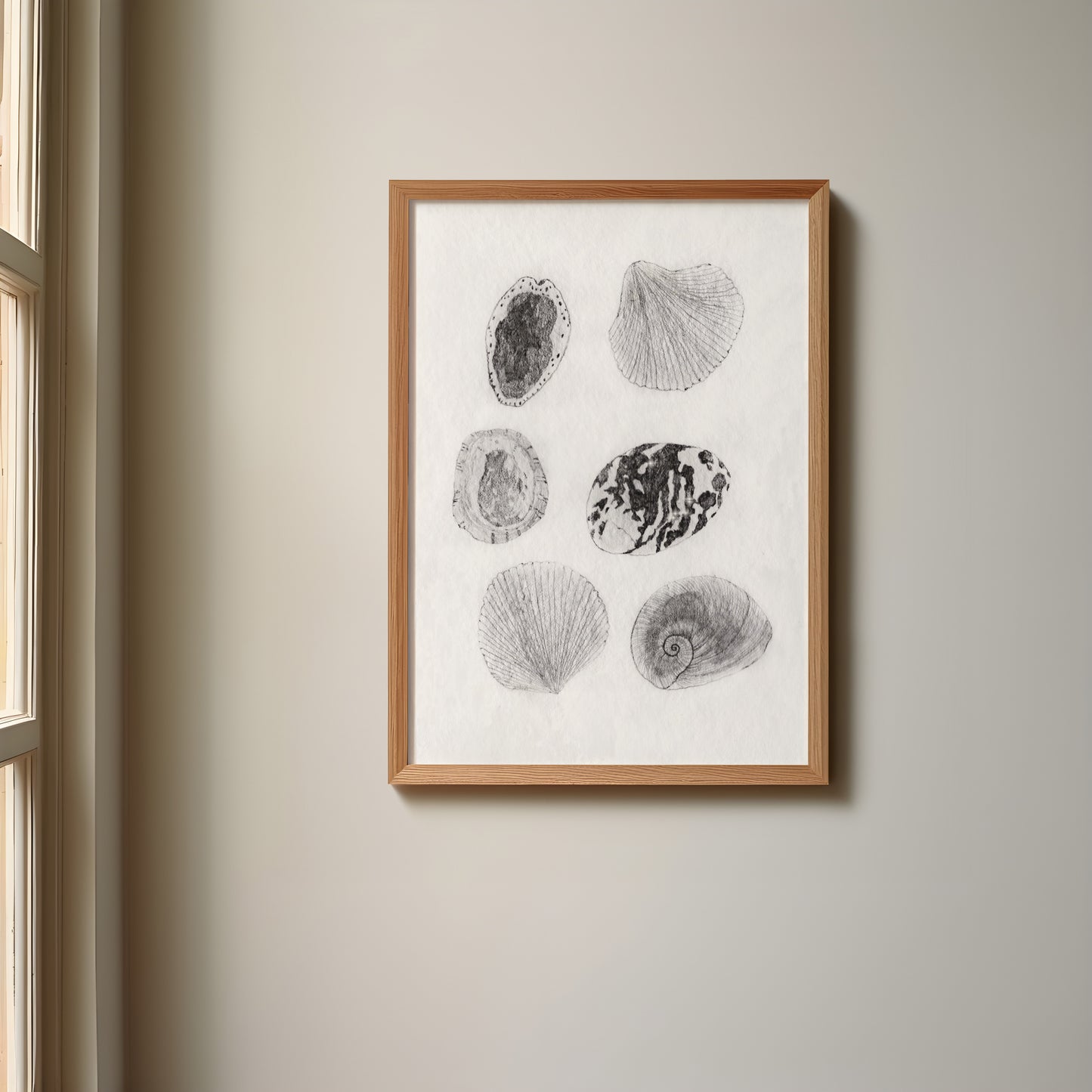 Les Coquillages No.05