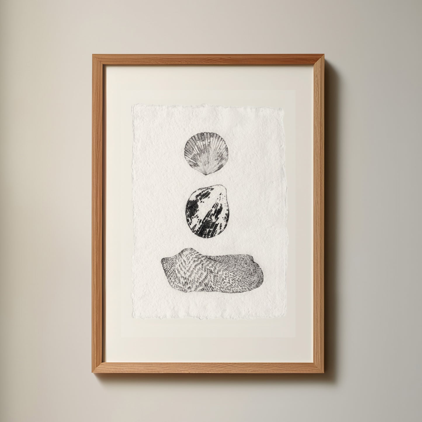 Les Coquillages No.06