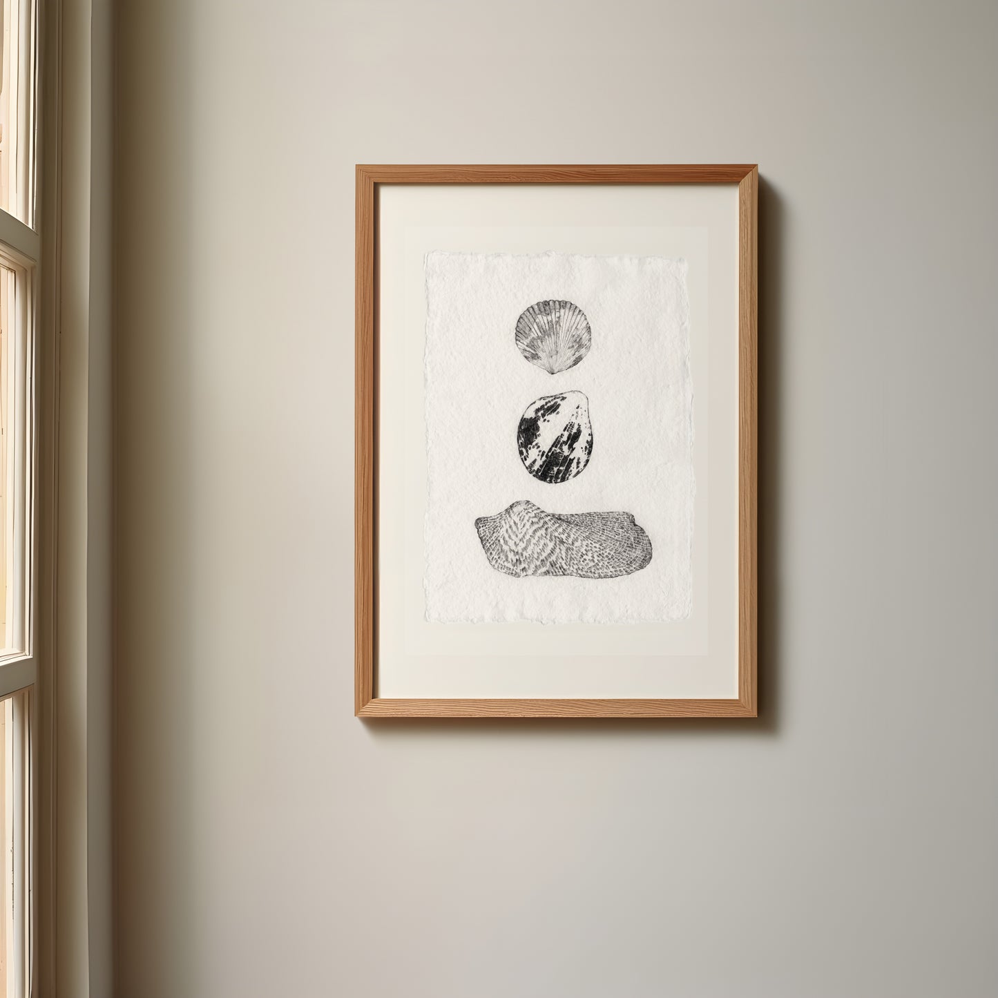 Les Coquillages No.06