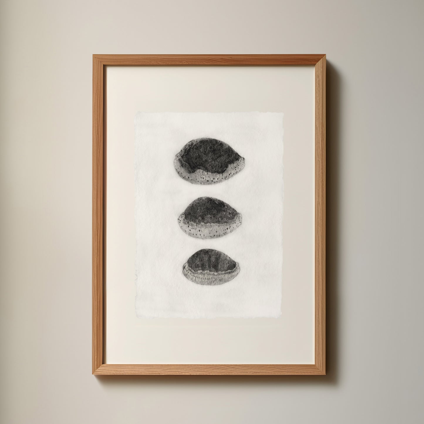 Les Coquillages No.03