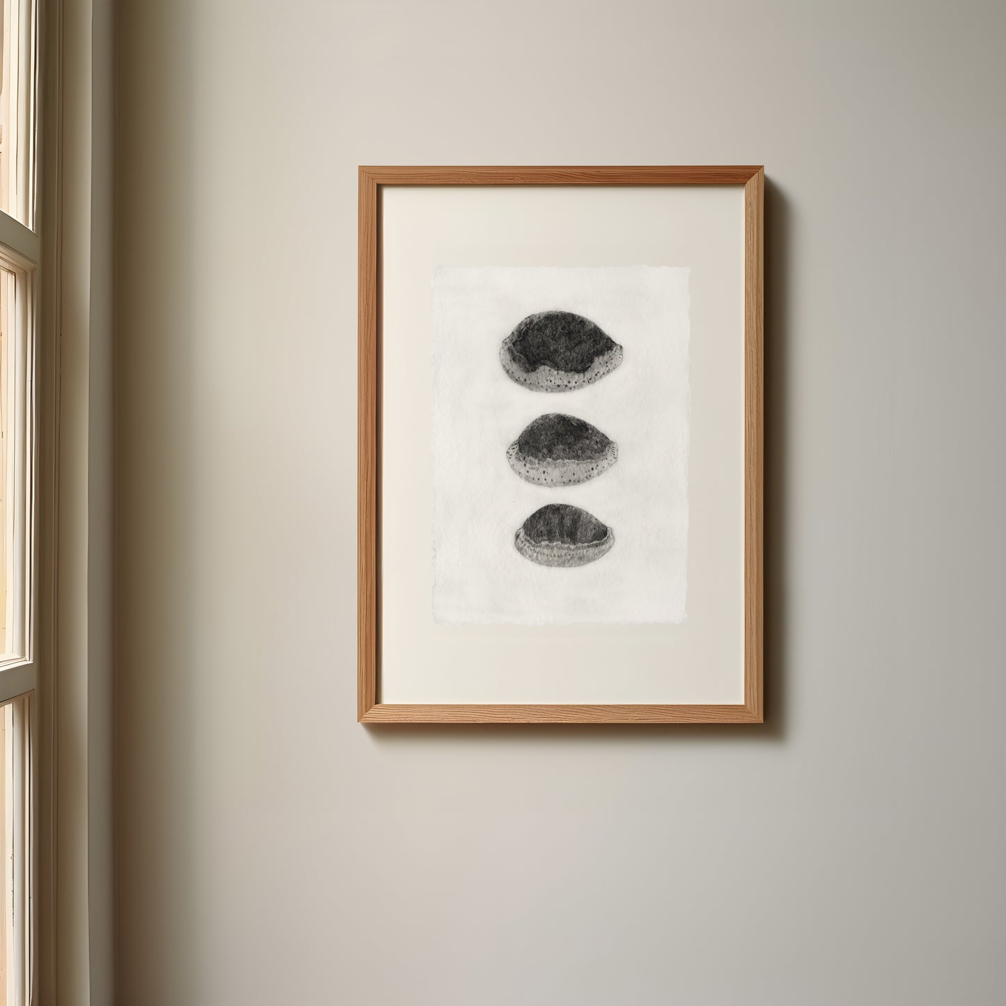 Les Coquillages No.03