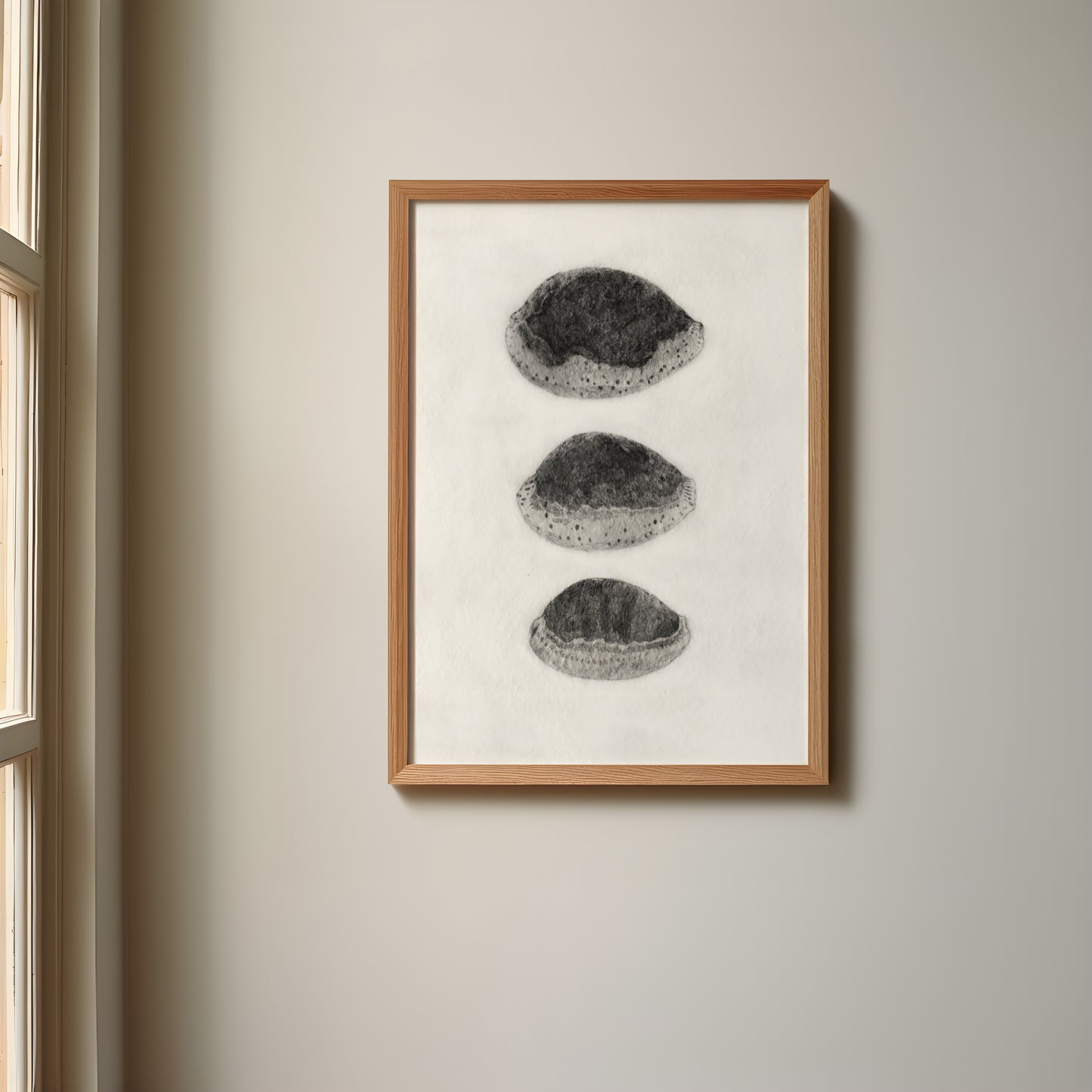 Les Coquillages No.03