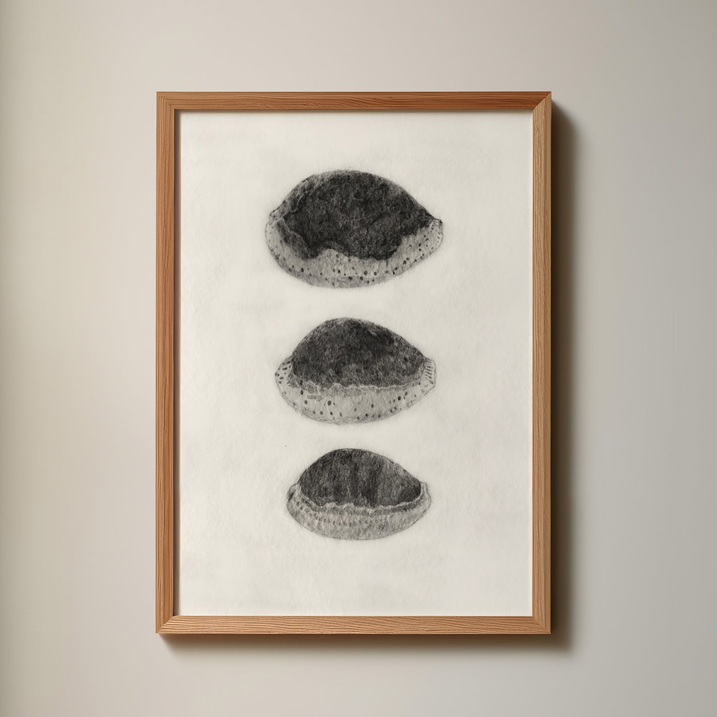 Les Coquillages No.03